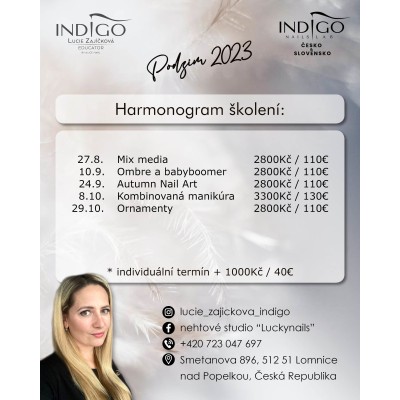 Lucie Zajíčková, Indigo Educator