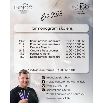 Michal Ruisl, Indigo Educator