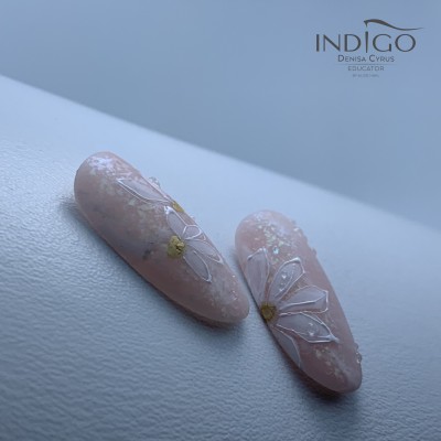 Denisa Cyrus, Indigo Educator