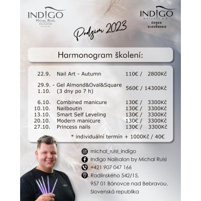 Michal Ruisl, Indigo Educator