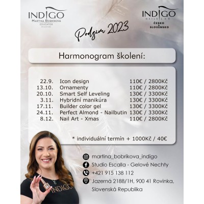 Martina Bobríková, Indigo Educator