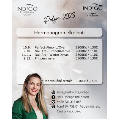 Silvie Buštíková, Indigo Educator