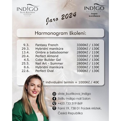 Silvie Buštíková, Indigo Educator