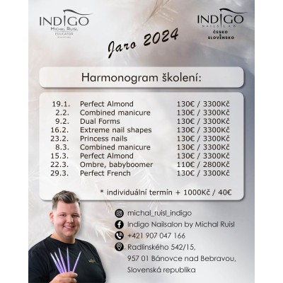 Michal Ruisl, Indigo Educator