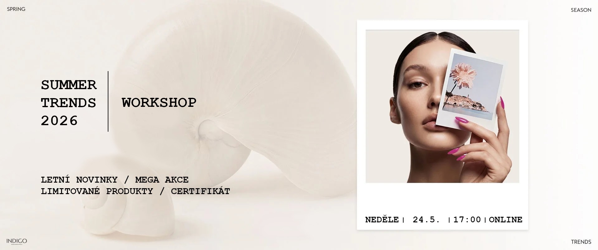 Online Workshop